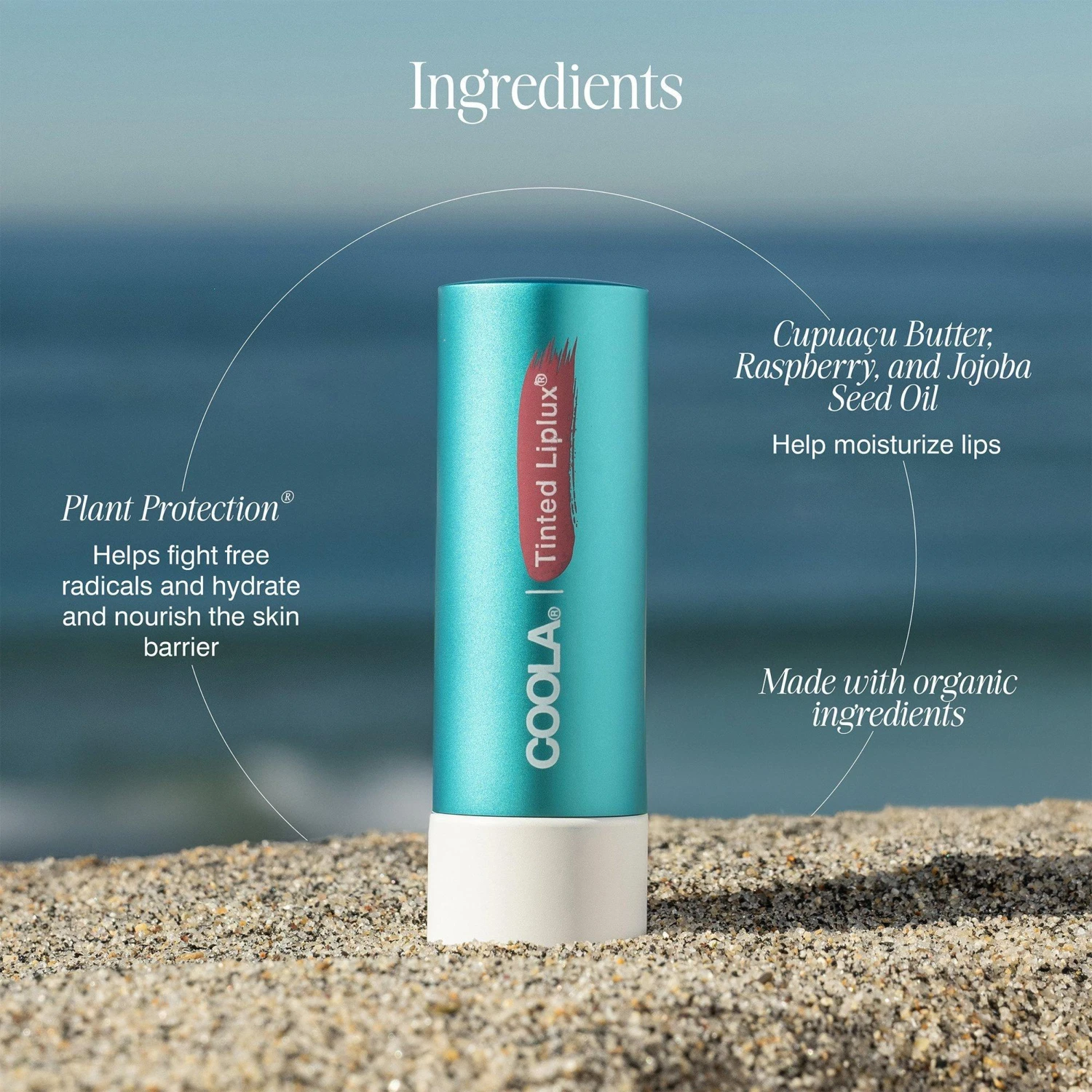 Coola ORGANIC LIPLUX CLASSIC SUNSCREEN LIP BALM SPF 30 6 Coola ORGANIC LIPLUX CLASSIC SUNSCREEN LIP BALM SPF 30 - Image 4