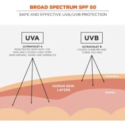 SPF 50 Sunscreen Lotion, 32 Oz., PK4 -Nursing Products Tenacious20Holdings20Inc 8d44160a8ede67c332ea9ee9892056c0xxd2c923
