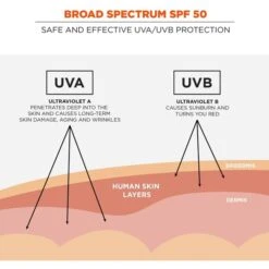 SPF 50 Sunscreen Lotion, 8 Oz., PK12 -Nursing Products Tenacious20Holdings20Inc 9ecb5c97c44559a0c8dff7c12bd7aed7xxb0d7ef
